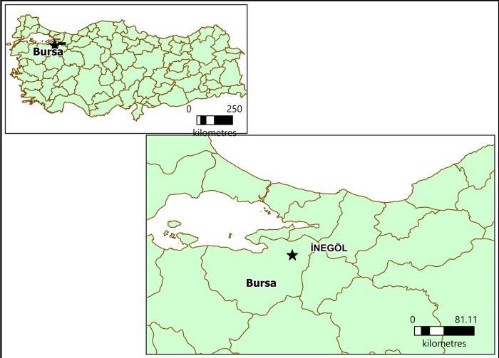 kazanarak orografik yağışlar yapabilir. 2. Atlas Okyanusundan gelen mp hava kütlesi ise Avrupa ülkeleri ve Balkanları geçerek Ülkemizi etkiler. Yerde belirgin olmayan A.B. Sistemleri ile gelmedikleri için kararsızlık yağışları yapar.