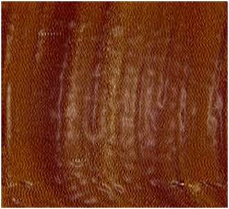 manyetik alan altında alınmış manyetik kuvvet mikroskobu resmi 41