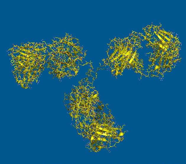 İnsan genetiği alanındaki ilerlemelerle hastalıkların moleküler kökleri konusunda yeni bilgiler edinildikçe, Amgen ın bağlı kuruluşlarından biri olan ve insan genetiği alanında dünya liderleri