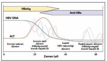 DOĞAL