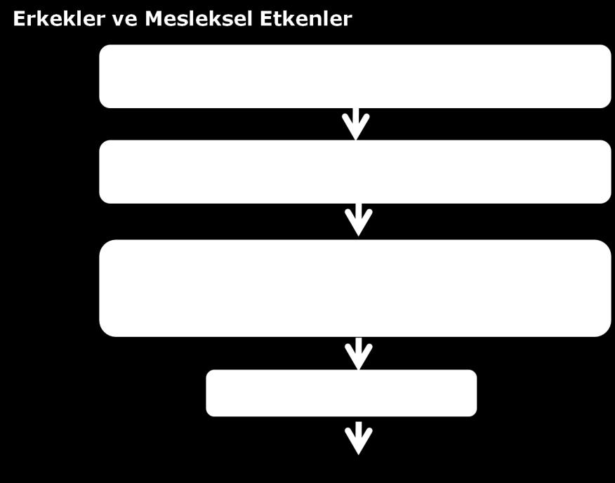 Etmenler ve Neden