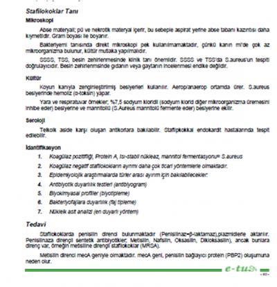 62.Taşımakta olduğu meca geni nedeniyle hastane enfeksiyonlarının tedavisinde sorun oluşturan mikroorganizma aşağıdakilerden hangisidir?