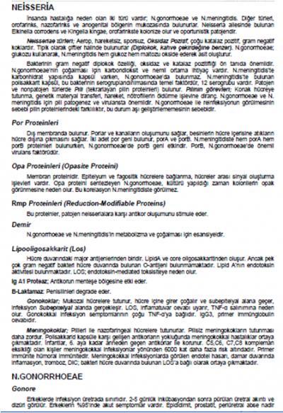 63.Aşağıdakilerden hangisi, Neisseria gonorrhoeae nin patojenitesine katkıda bulunmaz?