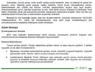 64.Gram boyasıyla ince, kısa dallanan yapılar hâlinde görülen, kısmen aside dirençli, kronik enfeksiyon etkeni aşağıdakilerden hangisidir?