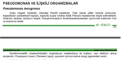 66-Aşağıdaki mikroorganizmalardan hangisi piyoverdin ve piyosiyanin pigmentlerini üretir?