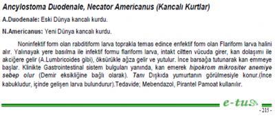 72- Karadeniz bölgesinde çay tarlasında çıplak ayakla çalışan bir kişi; ayakta kızarıklık ile kaşıntı, yorgunluk, bulantı, kusma, kanlı dışkı ve kilo kaybı yakınmaları ile hastaneye başvuruyor.