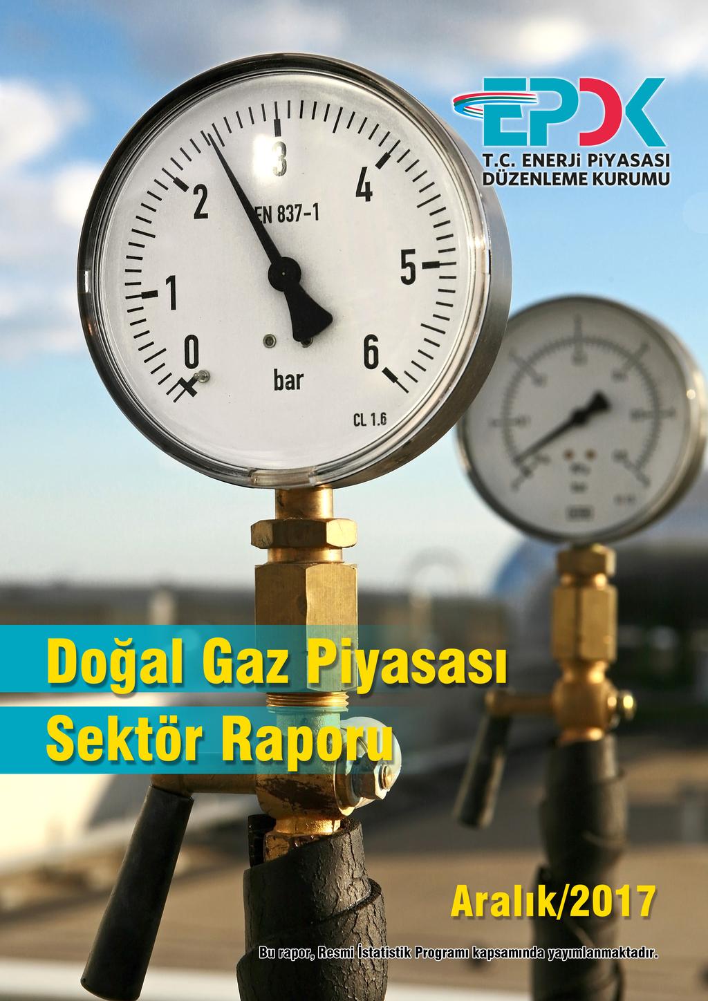 Doğal Gaz Piyasası /