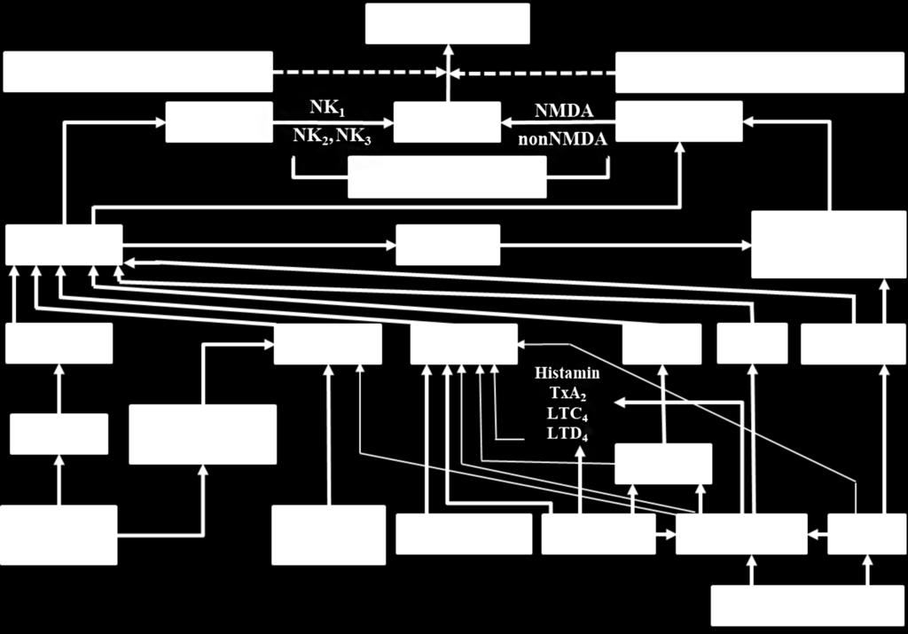 Acid-sensing ion channel, TRPV1: Transient reseptör potansiyel vanilloid1. izlenir.