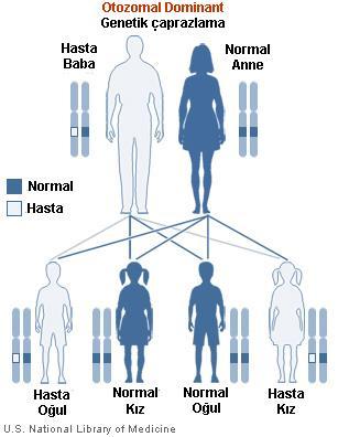 dominant trait X-linked
