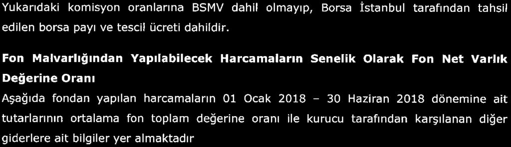 243708% Fon'dan karşılanan toplam giderlerin (fon işletim gideri kesintisi dahil) üst sınırı 31. 12.