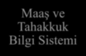 Maaş ve