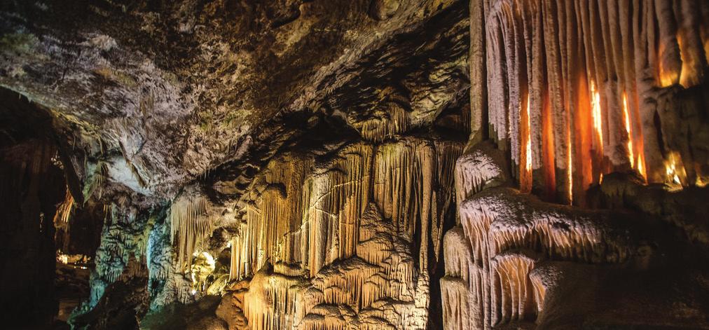Mağara Biyolojisi Tarihin bilinen en eski dönemlerınden beri mağaralar, insanlar için ilgi çekici mekanlar olmuşlardır.