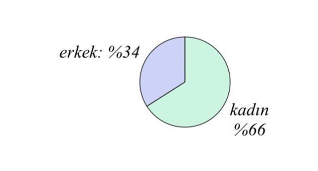 BULGULAR Bu çalışma 18.02.2016-01.05.