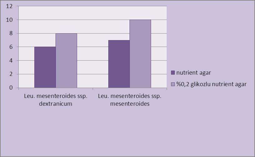 81 Leuconostoc türlerinin S. typhimurium üzerine inhibitör etkisi Leuconostoc cinsi; Leu. mesenteroides ssp. dextranicum ve Leu. mesenteroides ssp. mesenteroides türlerinin Nutrient Agarda indikatör S.