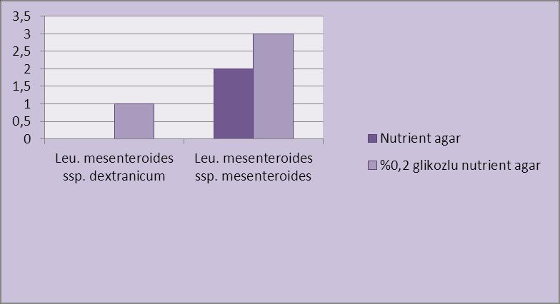 93 Leuconostoc türlerinin E. coli üzerine inhibitör etkisi Leuconostoc cinsi; Leu. mesenteroides ssp. dextranicum ve Leu. mesenteroides ssp. mesenteroides türlerinin Nutrient Agarda indikatör E.