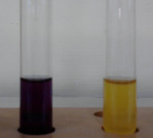 48 Karbonhidrat Solüsyonu Laktoz, galaktoz, maltoz, rafinoz, sükroz, salisin, mannitol, ksiloz, sorbitol, arabinoz.