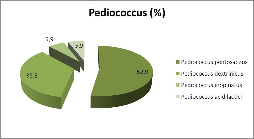 Pediococcus dextrinicus, 1 i (%5,9) Pediococcus inopinatus, 1 i (%5,9) Pediococcus