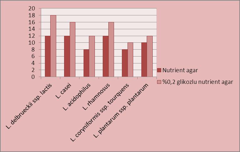 72 Şekil 4.13. Lactobacillus türlerinin nutrient agar ve %0,2 glikozlu nutrient agarda L.