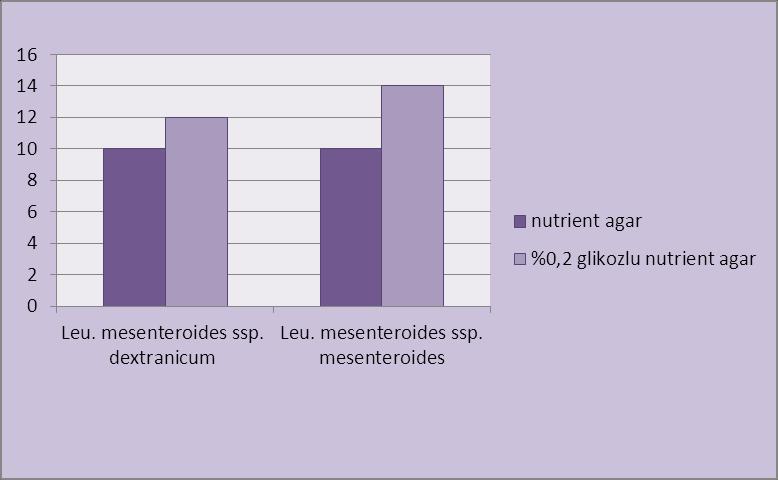 74 Leuconostoc türlerinin L. monocytogenes üzerine inhibitör etkisi Leuconostoc cinsi; Leu. mesenteroides ssp. dextranicum ve Leu. mesenteroides ssp. mesenteroides türlerinin Nutrient Agarda indikatör L.