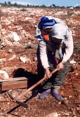 Hayvansal üretimlerde düşüklük 10. Tarım arazilerinin yanlış kullanılması 11.