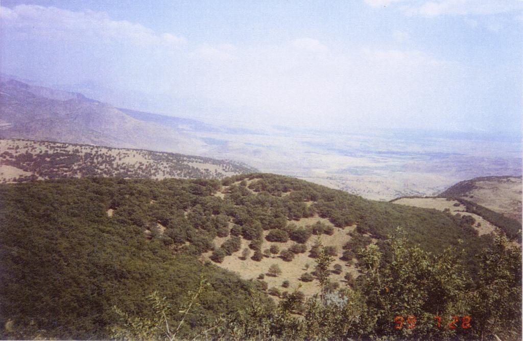 F.Ü.Sosyal Bilimler Dergisi 2007 17 (1) geyik elması (Sorbus umbelata (Desf.) Fritsch)ndan oluşan orman altına bırakmaktadır.