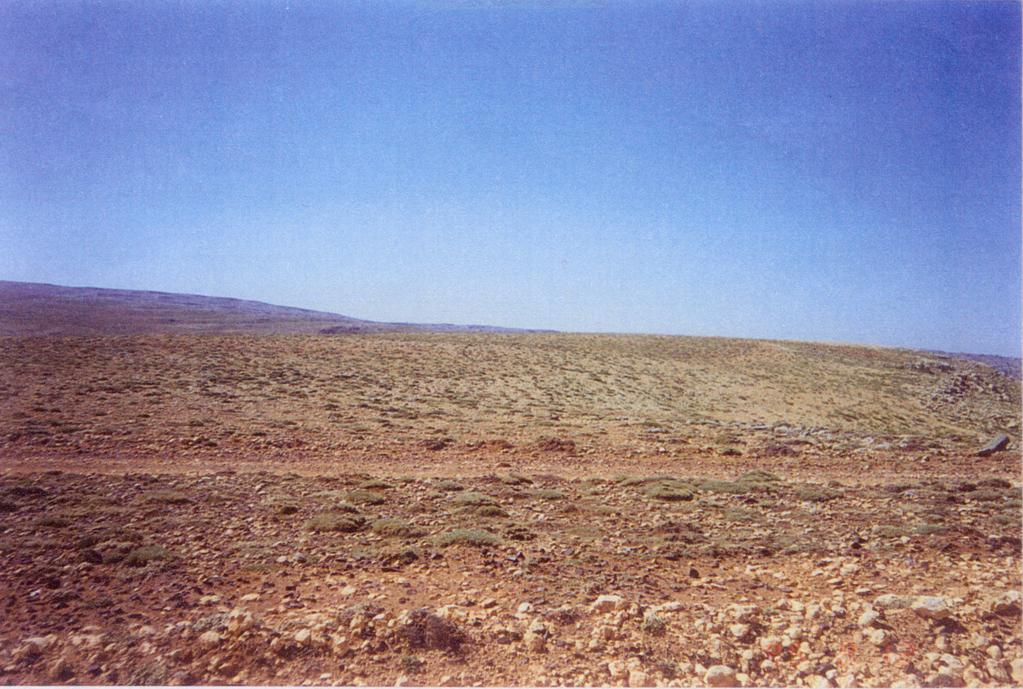 Bolkar Dağları... Foto 2. Dümbelek Düzü nde yayılış gösteren yüksek dağ bozkırından bir görünüm (Foto. Ülkü ESER ÜNALDI). Foto 3.