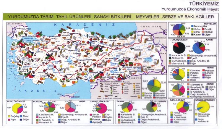 İSTANBUL BÜYÜKŞEHİR BELEDİYESİ MEYVE, SEBZE ÜRÜN, KAP VE AMBALAJ