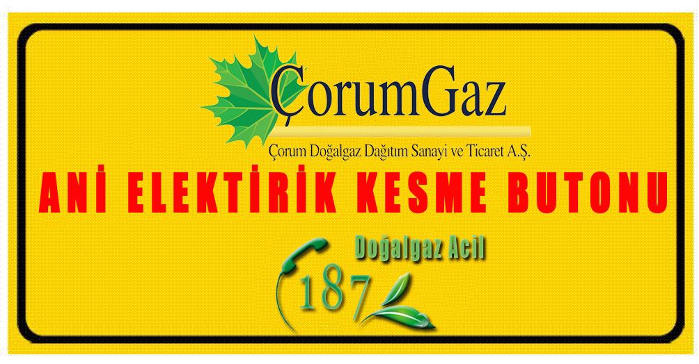 Ç O R U M G A Z D o ğ a l G a z İ ç T e s i s a t T e k n i k Ş a r t n a m e s i 16. LEVHA ÖRNEKLERİ 16.