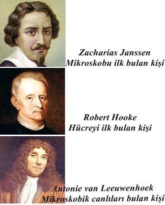 Bakteriler, amip, öglena, paramesyum(terliksi hayvan) mikroskobik canlılara örnekdir. Mikroskobik canlılar birçok ortamda bulunur.