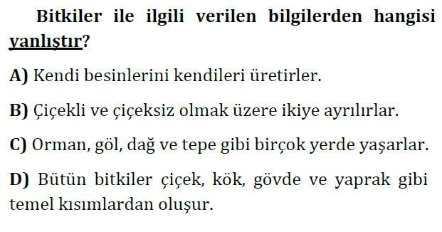 Fotosentez: Havadan karbondioksit, kökten aldığı su ve güneş ışığı ile fotosentez gerçekleşir. Fotosentez sonucu besin ve oksijen üretilir. Fotosentez bitkinin sadece yeşil olan kısmında gerçekleşir.