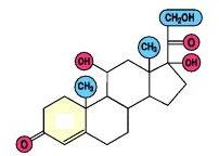 hidroksil grubu antienflamatuvar aktiviteden sorumludur.