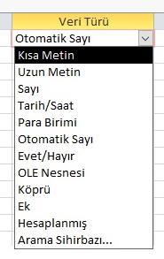 ), tırnak( ), noktalı virgül(;) ve köşeli parantez([ ]) bulunamaz. Veri Türü: Değişken özelliklerine göre, O alana girilecek bilginin türünü belirtir.