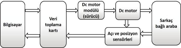Çalışmanın geri kalan kısmı şu şekilde düzenlenmiştir: Sistemin yapısı ve modellenmesi, araba-sarkaç sistemi bölümünde verilmiştir.