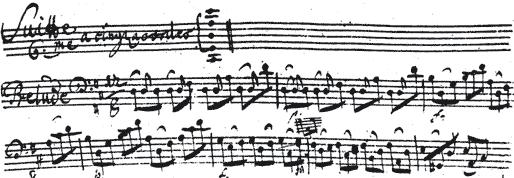 (dörtlü tam) aşağıdan başlardı.akordu c (veya d)-g-d -a - e şeklinde yapılırdı. 1725 ile 1770 yılları arasında varolan bu enstrümanı Bach ın, eserlerinde kullanması için icat ettiği sanılmaktaydı.