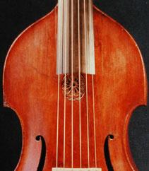 Viola da gambanın çoğunda rosette denilen, tuşun hemen altında oymalı bir parçanın deliği örttüğü bölüm vardır.
