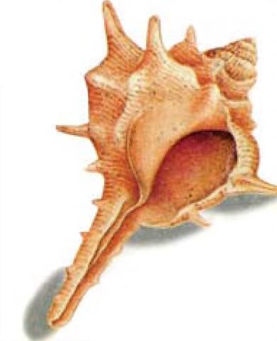 3. Sxemi tamamlayın : Misir Şumer Aşşur Hetlərlə mübarizə Akkadla mübarizə? A) Romalılarla mübarizə B) Yunanlarla mübarizə C) Hindlilərlə mübarizə D) Ərəblərlə mübarizə E) Urartu ilə mübarizə 4.