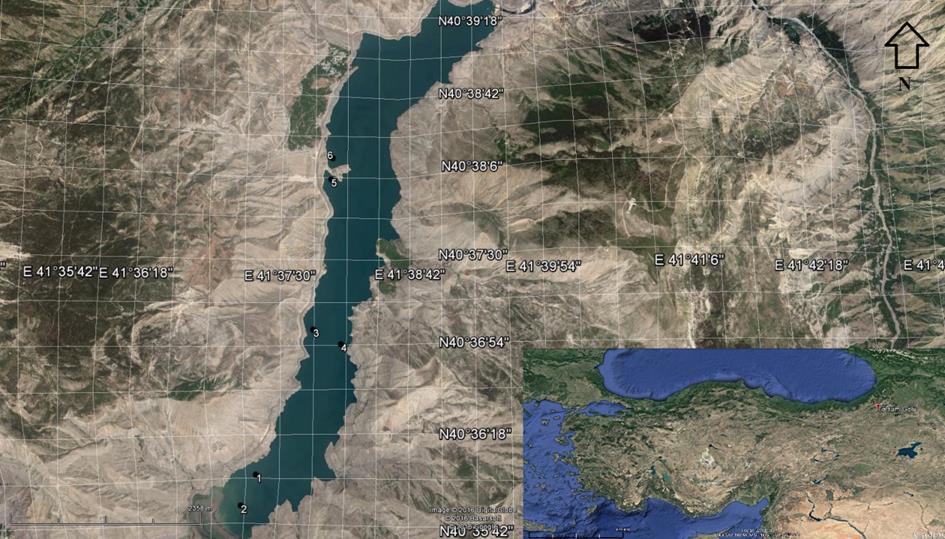 Kükrer / Türk Tarım Gıda Bilim ve Teknoloji Dergisi, 4(12): 11851191, 2016 Şekil 1 Tortum Gölünün Konumu ve örnekleme istasyonları (Google Earth uygulamasından alınmıştır) Tablo 1 ACME iç standart