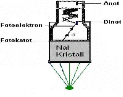 olduğundan, iyon odaları değişik enerji ve iyonizasyon yeteneğine sahip gama, beta ve alfa gibi radyasyonları ayırt etmek için kullanılır (Knoll 2000). 2.3.