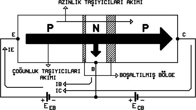 Şekil 4.5 de PNP transistörün Beyz-Kollektör uçlarının ECB kaynağı ile ters polarma edilişi görülmektedir. Şekil 4.