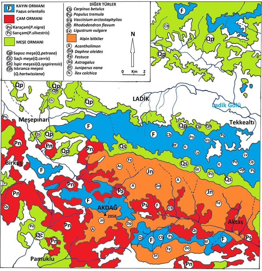 Şekil 2. Akdağ ve Yakın Çevresinin Çevresinde Bitki Dağılış Haritası 2.