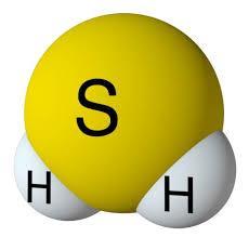 Zararlı Gazlar Hidrojen Sülfür (H 2 S) Renksiz bir gazdır, çürük yumurta kokusundadır, uyarıcı anlamda bir fark sezilmez.