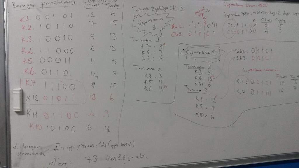 Aynı problem için bir başka başlangıç popülasyonu ve bir iterasyonluk ilerleme