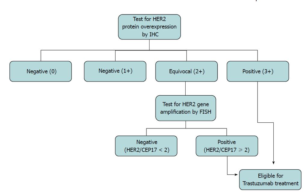 Mide Karsinomlarında HER2 Test Algoritması (IHC: immünohistokimya; FISH: Flörosan in situ