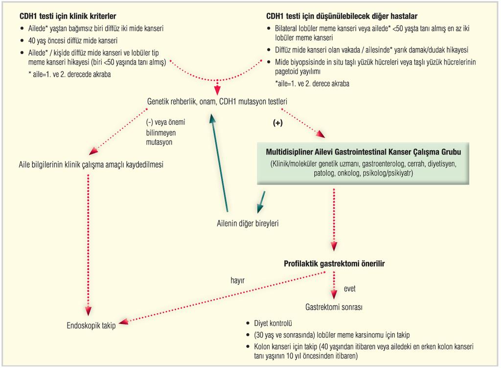 Güner, G. ve Akyol, A.