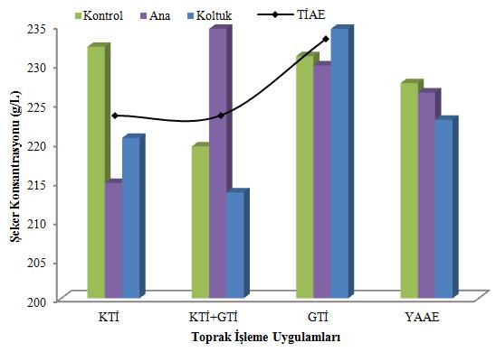 Farklı toprak işleme ve yaprak alma uygulamalarının şeker konsantrasyonu üzerine etkileri birlikte incelendiğinde KTİ+GTİ x AY ile GTİ x KY (234,60g/L) kombinasyonlarının en yüksek, KTİ+GTİ x KY