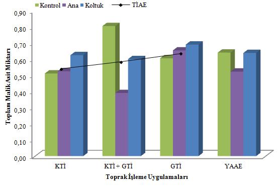 ile paralellik göstermektedir. KY uygulamasında ise salkımların aşırı güneş almasının malik asit miktarını artırdığı düşünülmektedir. Çizelge 4.59.