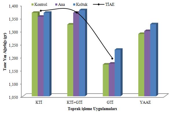 birlikte incelendiğinde KTİ ve KTİ+GTİ uygulamalarının tane yaş ağırlığını artırıcı etkisinin, GTİ uygulamalarının ise tane yaş ağırlığını azaltıcı etkisinin olduğu düşünülmektedir. Şekil 4.29.