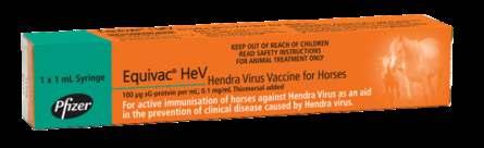 Hendra virüs Tedavisi yok.