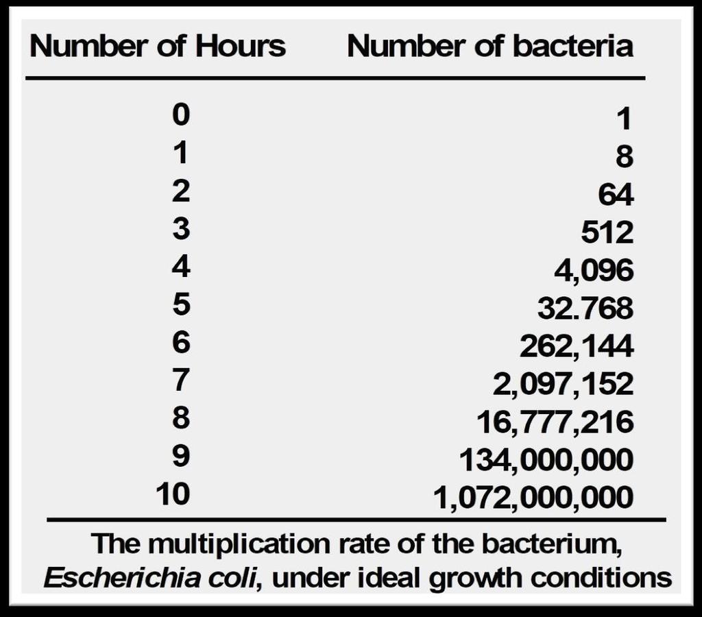 Mikroorganizmalar Laboratuvarda Hızla Çoğalabilir 37 C sıcaklıkta zengin bir ortamda E.