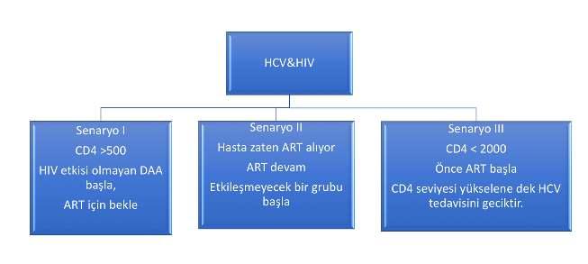 HCV & HIV + hasta - Alkol almamalı - HBV ve HAV